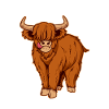 Highland Cow Scotland Scottish