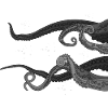 Octopus Art Squid Polyp Ocean