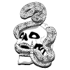 Serpent à sonnette et crâne