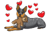 Australie Cattle Dog avec peluche