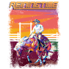 Westernreiten Reining Pferd Spin