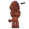 Sturer Irish Red Setter
