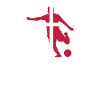 Danemark Football Drapeau danois Scandinave