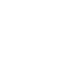 LENS