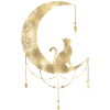 Die Katze im Mond