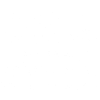 Cattle Dog