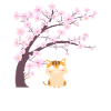 Cerisier chat japonais chat sakura