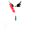 Palestine Free Freedom Free Gaza
