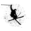 skier