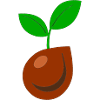 Seeds