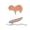 Regenbogen Wing Foil