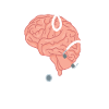 Neurology nurse neuro-nurse