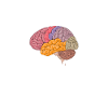 Neurologist neurology student neuro-nurse