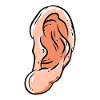 ear