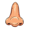nose