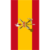 Legion Espanola flag phone case