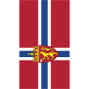 Norway flag phone case