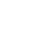 Sensei Coach Definition Description