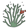Coral anemone fish
