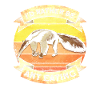 Ameisenbär Anteater Wildlife