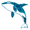 Blue Ocean Orca