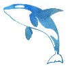 Blaue Orca