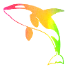 Regenbogen Orca