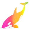 Regenbogen Orca