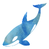 Blaue Orca