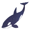 Starry Night Orca