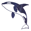 Starry Night Orca