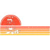 raccoon