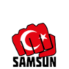 Samsun 55 Memleket Turkey flag fist