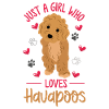 havapoo, havapoo havapoo mother, Havanese,