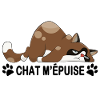 Chat m'épuise