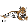 Tiger lying down