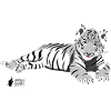 Tigre blanc couché