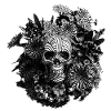Engraved Skull