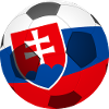 Football flag pattern Slovakia
