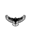 Jiu Jitsu Eagle