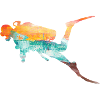 diver