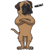 Bullmastiff Hund