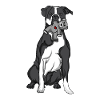 American Bulldog