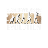 Handwerker Evolution