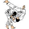 Judo-Wurf im weißen Anzug oder Kimono