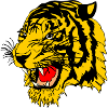 Tiger side view