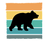 Ours Sauvage Ours brun