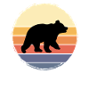 Ours Sauvage Ours brun