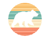 Bear Wilderness Brown Bear