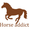 Pferd Horse
